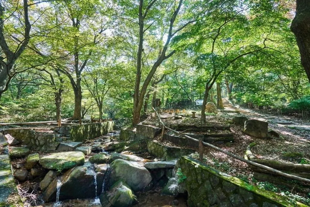 Stay Vibe Healing House Seoul