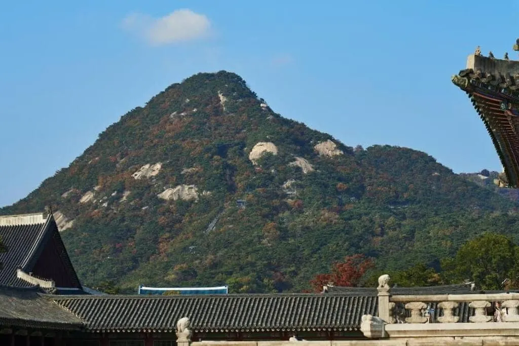Stay Vibe Healing House Seoul Guest house