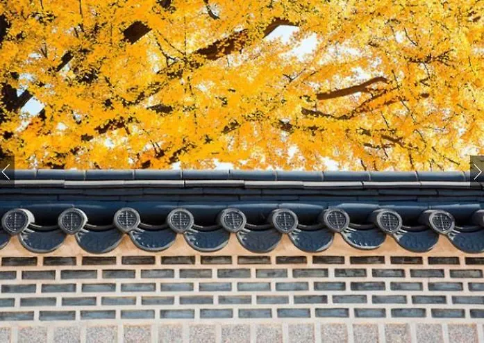 Stay Vibe Healing House Seoul Guest house
